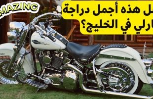 هل هذه أجمل دراجة هارلي في الخليج العربي؟ – Most Beautiful Harley
